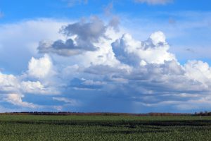 How to Identify Profitable Real Estate Opportunities in Nigeria